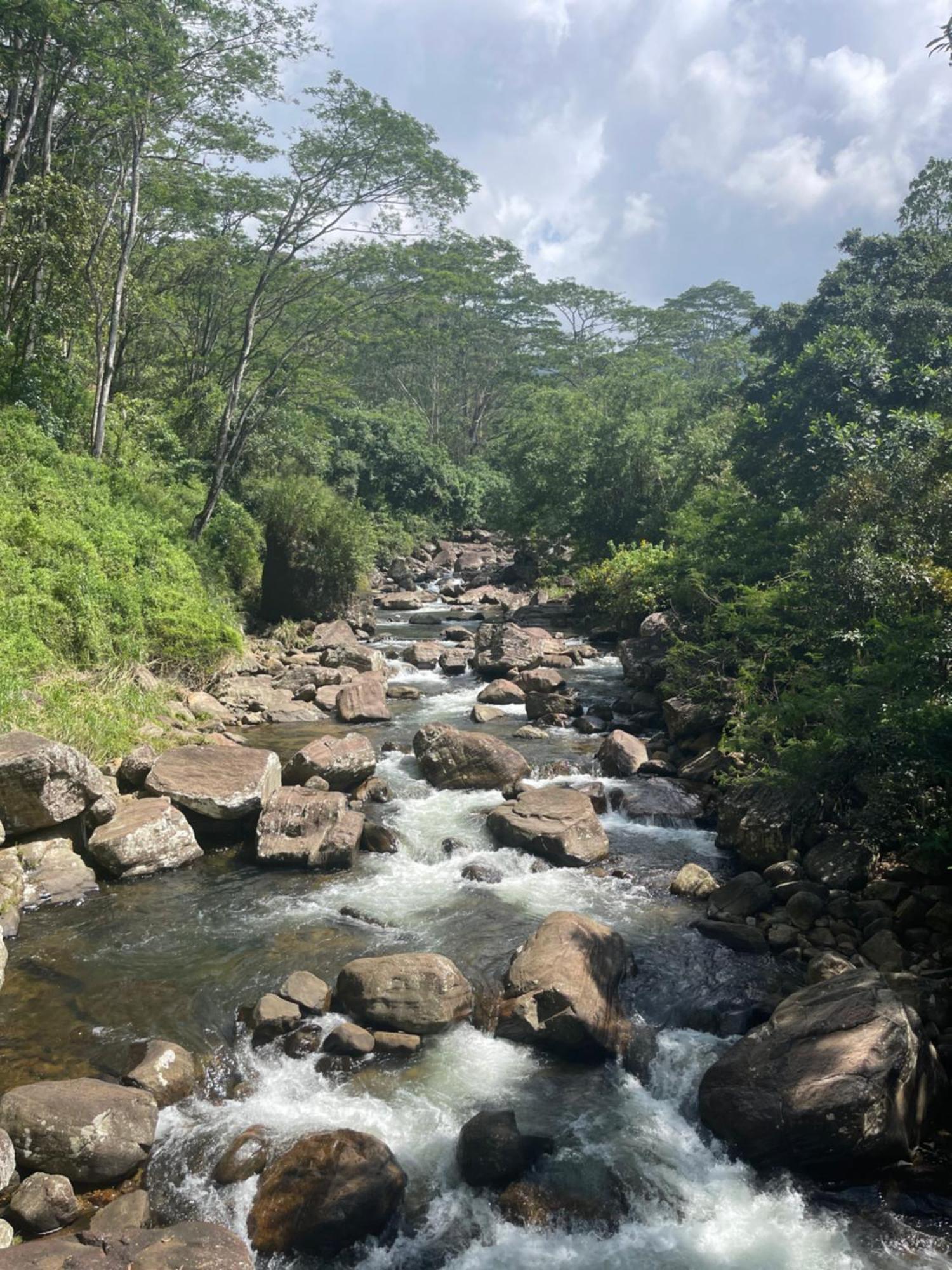 Eagles Lodge - Kandy Digana Ngoại thất bức ảnh