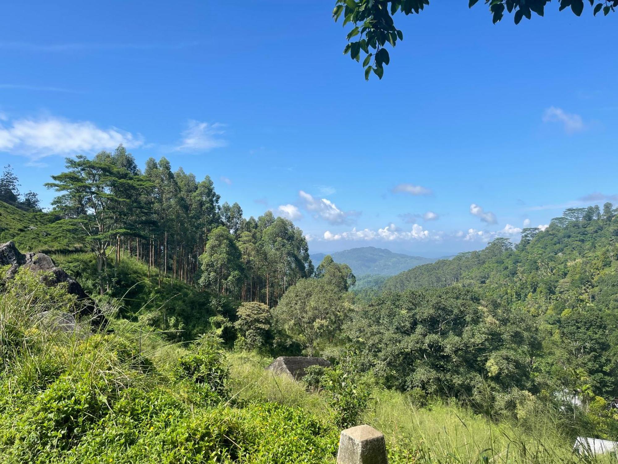 Eagles Lodge - Kandy Digana Ngoại thất bức ảnh