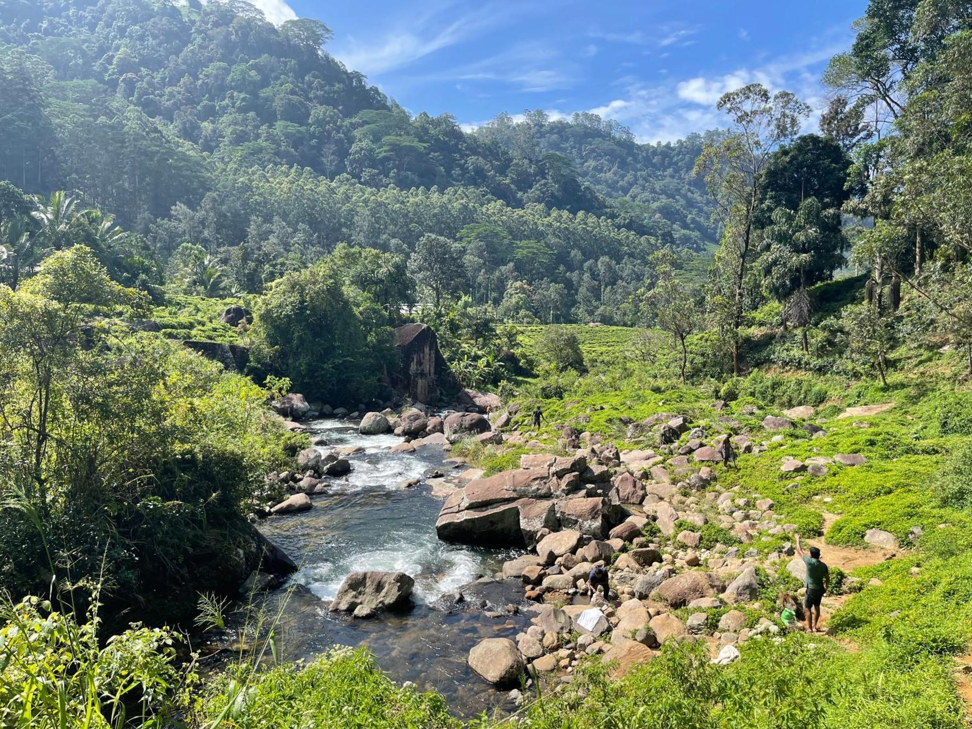 Eagles Lodge - Kandy Digana Ngoại thất bức ảnh